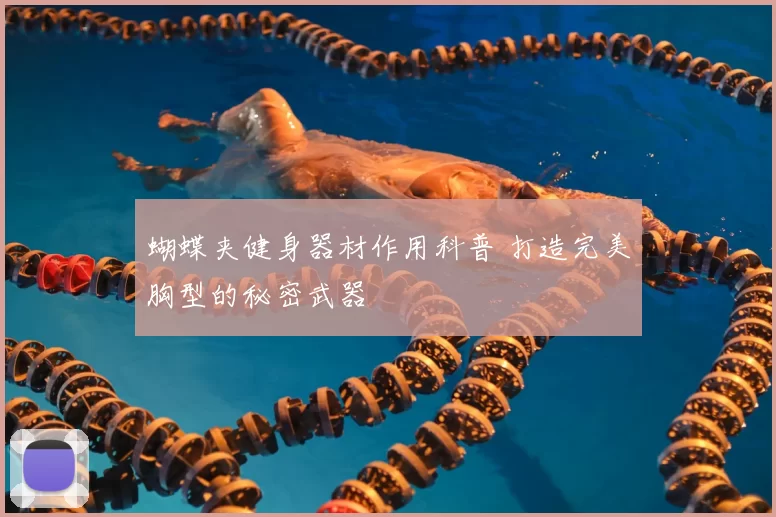 蝴蝶夹健身器材作用科普 打造完美胸型的秘密武器