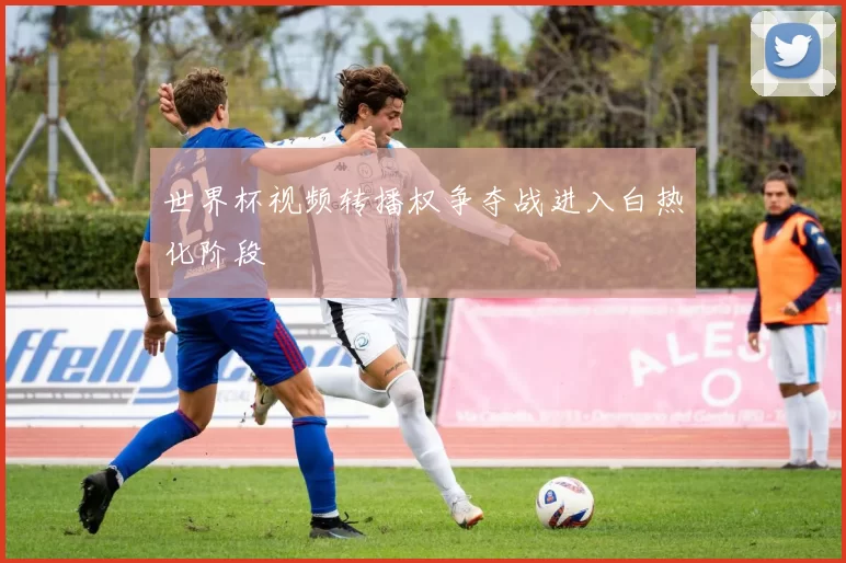 世界杯视频转播权争夺战进入白热化阶段