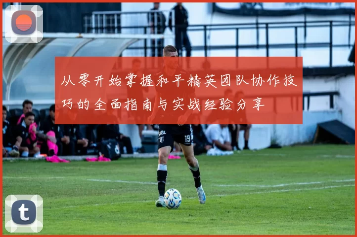 从零开始掌握和平精英团队协作技巧的全面指南与实战经验分享
