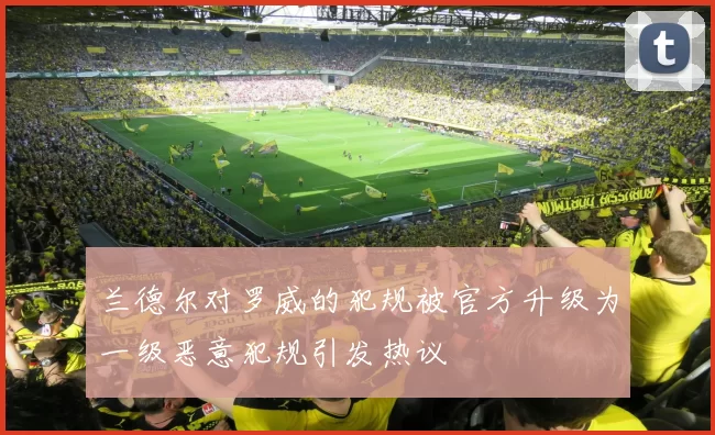 兰德尔对罗威的犯规被官方升级为一级恶意犯规引发热议