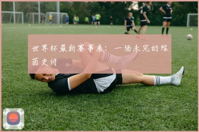 世界杯最新赛事表：一场未完的绿茵史诗