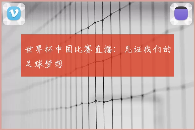 世界杯中国比赛直播：见证我们的足球梦想