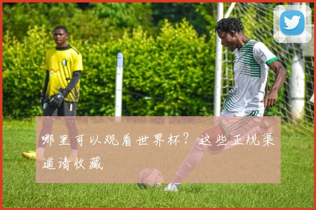 哪里可以观看世界杯？这些正规渠道请收藏