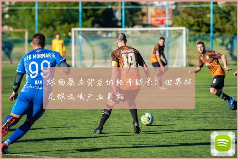 球场暴力背后的经济链条：世界杯足球流氓产业真相