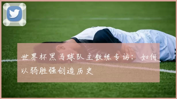 世界杯黑马球队主教练专访:如何以弱胜强创造历史