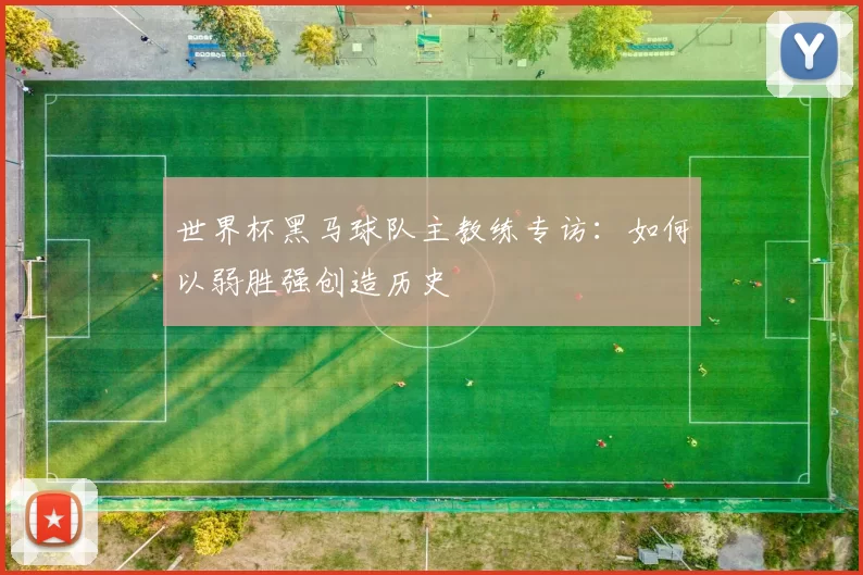 世界杯黑马球队主教练专访：如何以弱胜强创造历史