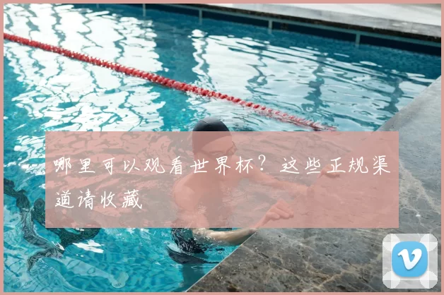 哪里可以观看世界杯？这些正规渠道请收藏