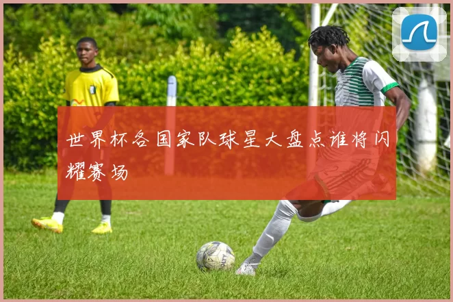 世界杯各国家队球星大盘点谁将闪耀赛场