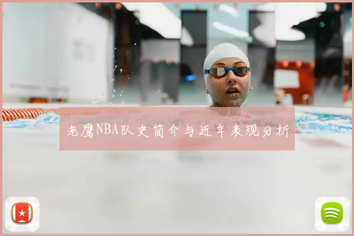 老鹰NBA队史简介与近年表现分析