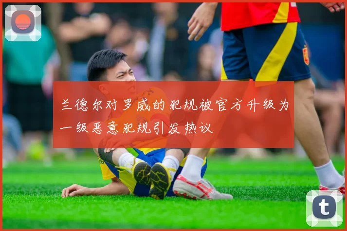 兰德尔对罗威的犯规被官方升级为一级恶意犯规引发热议