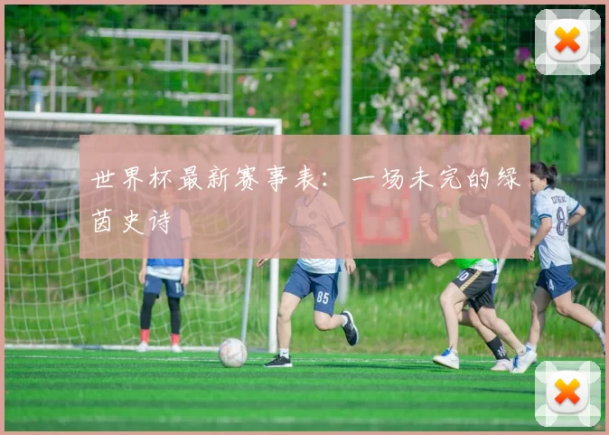 世界杯最新赛事表：一场未完的绿茵史诗