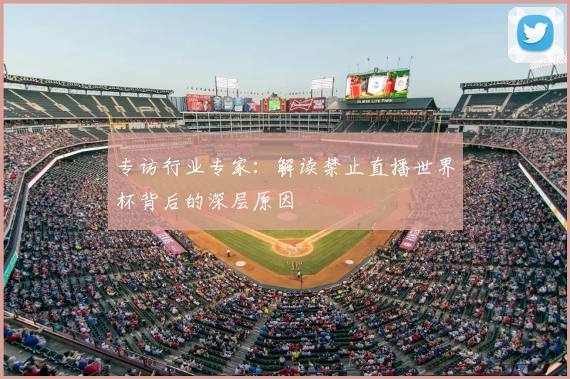 专访行业专家:解读禁止直播世界杯背后的深层原因